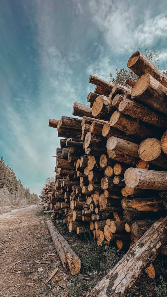 Aesthetic view of stacked timber logs with clear sky and natural surroundings.