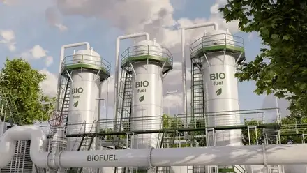 business launch & training